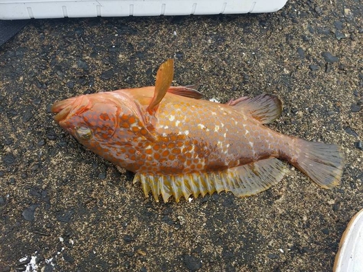 【海まで徒歩５分＆24時間天然温泉】☆泊まり+朝食付